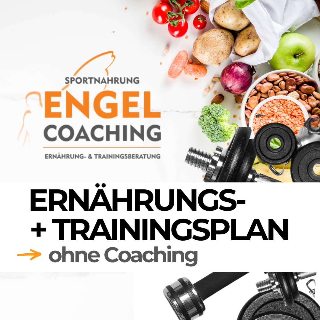 Individueller Ernährungs- und Trainingsplan (ohne Coaching)