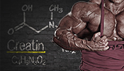 Masseaufbau Ern&auml;hrung im Bodybuilding