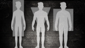 K&ouml;rpertypen im Fitness und Bodybuilding