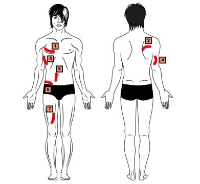 7 Faltenmethode K&ouml;rperfettmessung