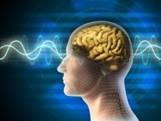 Mentaltraining f&uuml;r Sportler