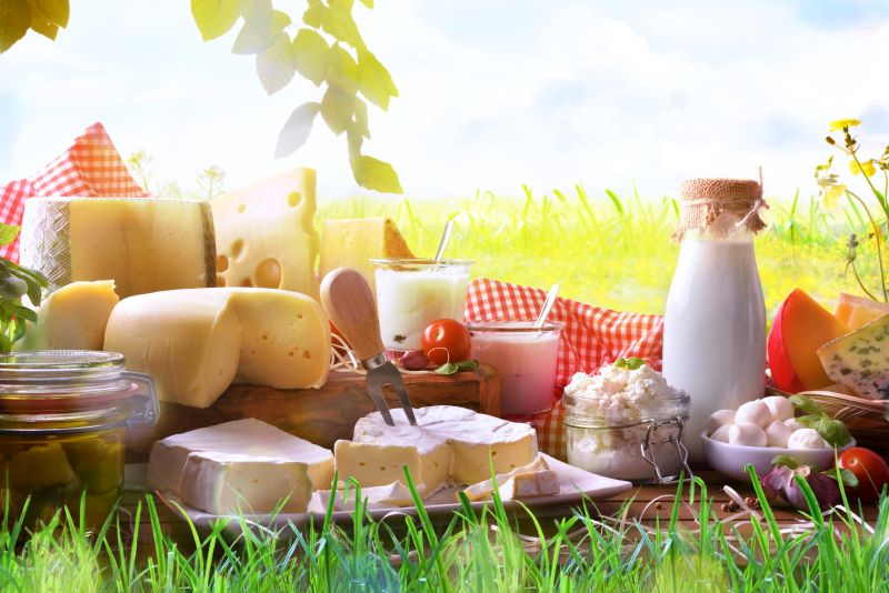 Milch und Milchprodukte Milchprodukte in der No Carb Ernährung