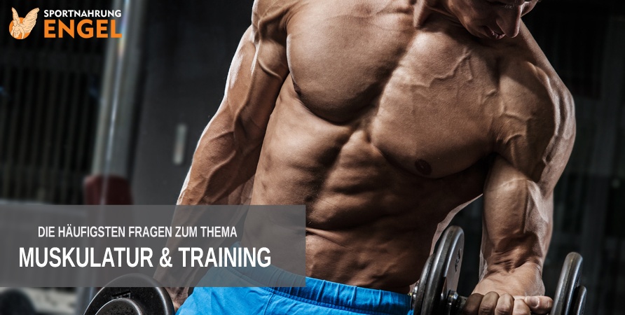 Titelbild FAQ Training und Muskulatur Häufige Fragen zu Training und Muskulatur