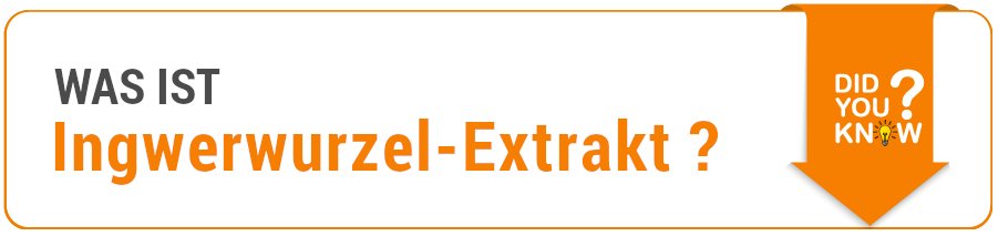 Informationen Ingwerwurzel-Extrakt