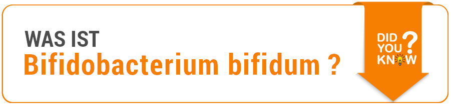 Informationen Bifidobacterium bifidum