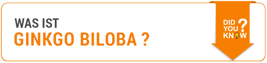 Informationen Was ist Ginkgo Biloba?