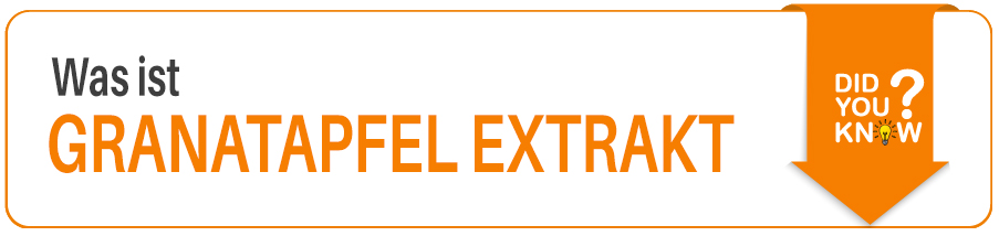 Was ist Granatapfel Extrakt Was ist Granatapfel Extrakt im Fitness Lexikon erklärt
