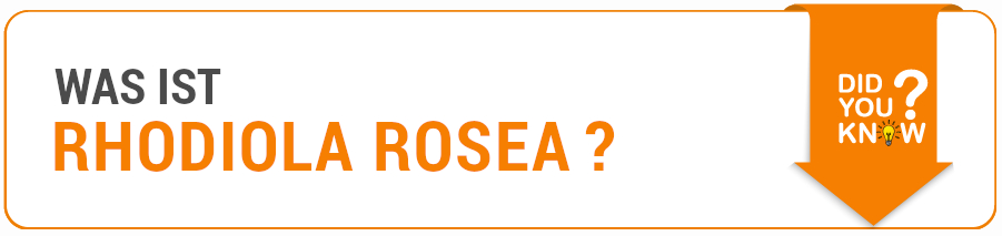 Informationen Was ist Rhodiola Rosea?