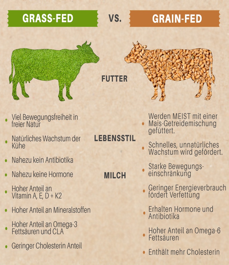 Unterschied Grass & Grain Feed Unterschiede und Vorteile von Grass Fed zu Grain Feed Kühen