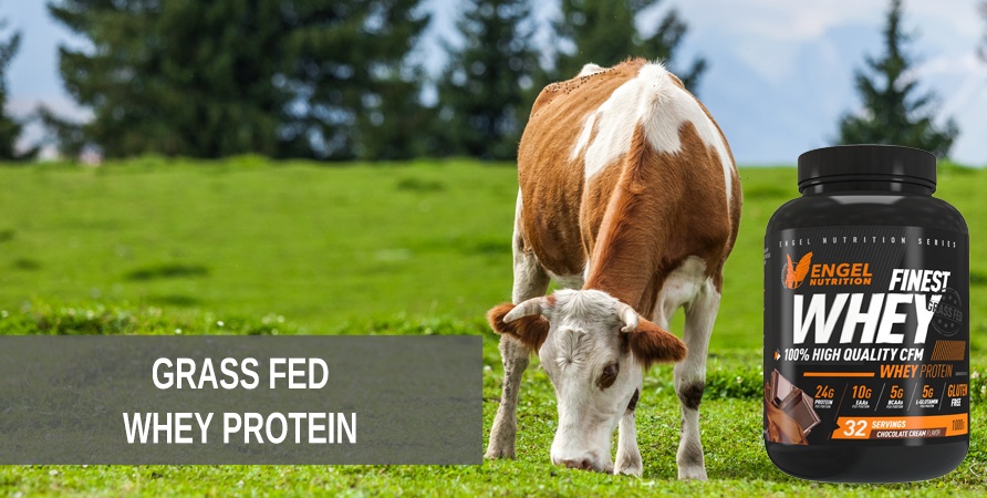 Grass Fed Wheyprotein Wheyprotein aus Weidehaltung