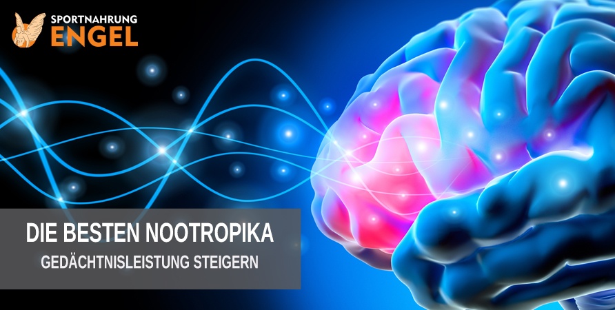 Nootropika Gedächtnisleistung steigern Die besten Nootropika - So steigerst du die Gedächtnisleistung