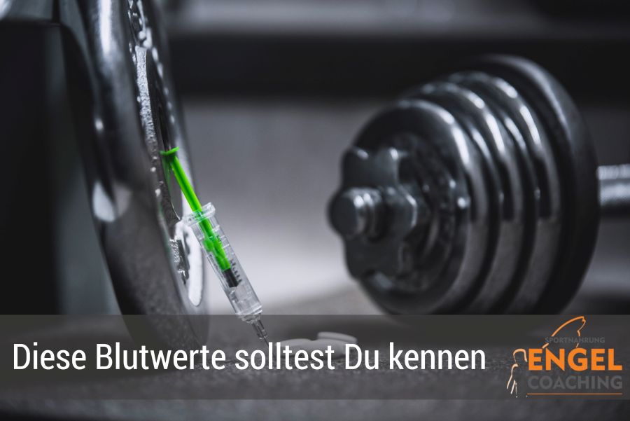 Die wichtigsten Blutwerte im Bodybuilding Was sagt das Blutbild über Deine Fitness aus? class=