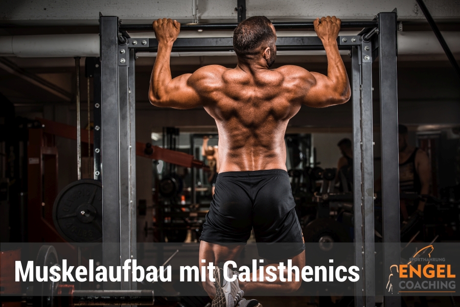 Muskeln aufbauen mit Calisthenics class=