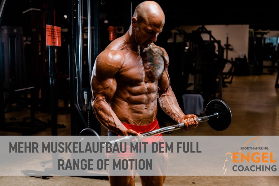 Nutze den Range of Motion zum Muskelaufbau Mehr Muskelaufbau mit dem Full Range of Motion
