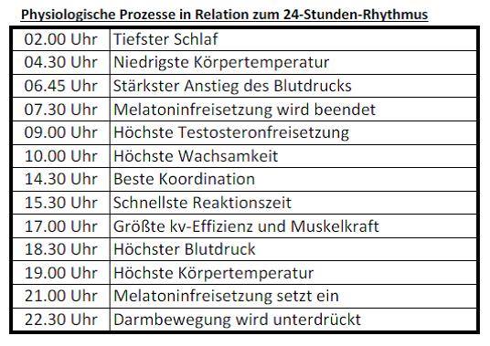 Physiologische Prozesse des K&ouml;rpers w&auml;hrend Tag und Nacht