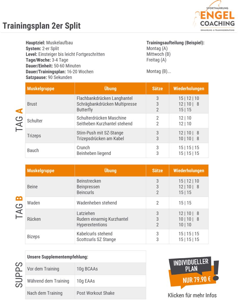 Trainingsplan Muskelaufbau 2er Split f&uuml;r Beginner und Fortgeschrittene
