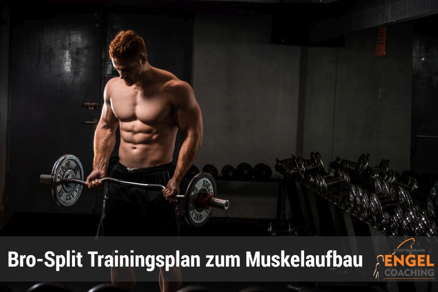 Bro-Split Trainingsplan zum Muskelaufbau Bro Split: Was sagt die Wissenschaft zu dem Split-Training? class=