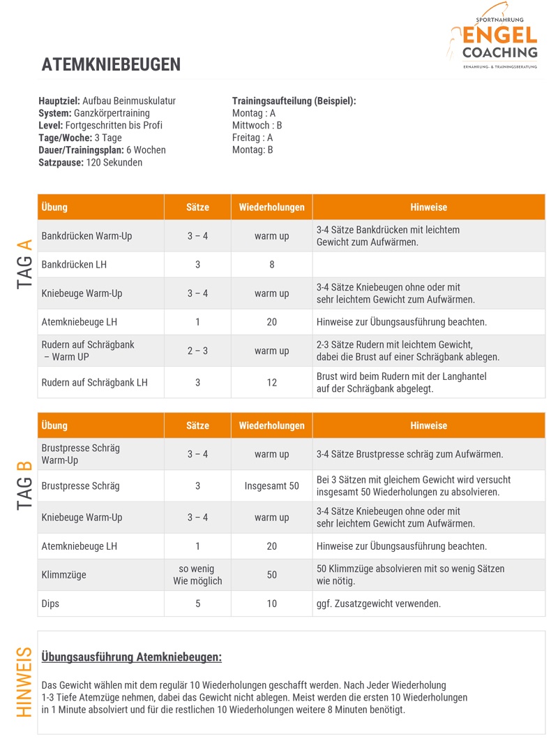 Trainingsplan Atemkniebeugen Trainingsplan PDF Atemkniebeugen Aufbau Beinmuskulatur