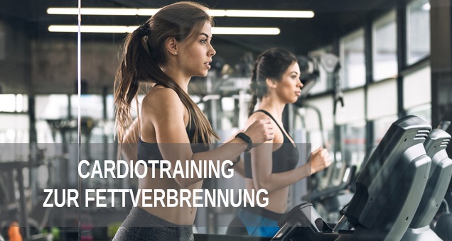 Di&auml;t Cardiotraining zum Fettabbau und Fettverbrennung