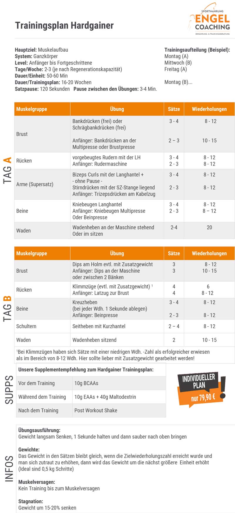 Hardgainer Trainingsplan zum Muskel- und Masseaufbau Hardgainer Trainingsplan Muskelaufbau für Anfänger bis Fortgeschrittene