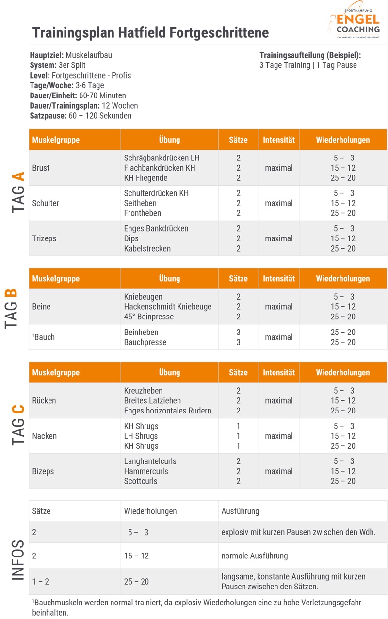 Fortgeschrittener Trainingsplan Hatfield Trainingsplan nach dem Hatfield System für Fortgeschrittene