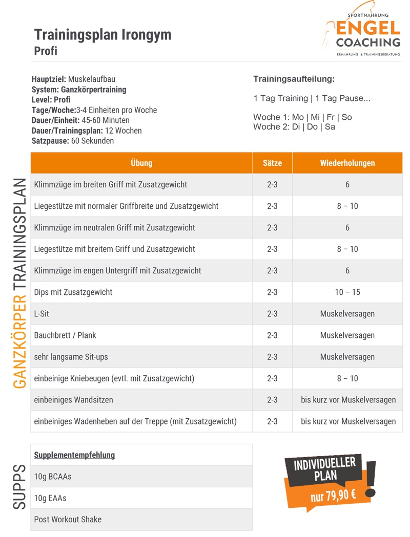 Irongym Trainingsplan für Profis Irongym Trainingsplan für Profis
