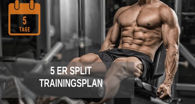 5er Split Trainingsplan f&uuml;r Bodybuilding und Fitness