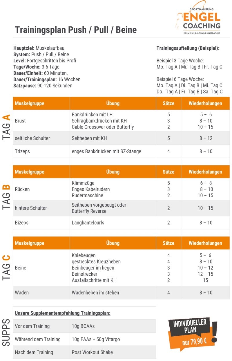 4er Split Muskelaufbau Trainingsplan f&uuml;r Fortgeschrittene Bodybuilder