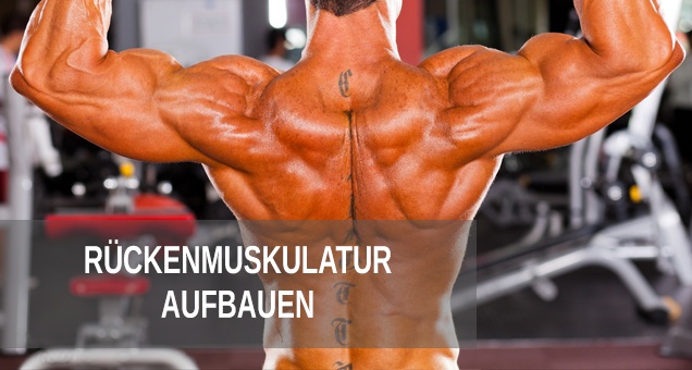 Trainingsplan - Breite R&uuml;ckenmuskeln aufbauen