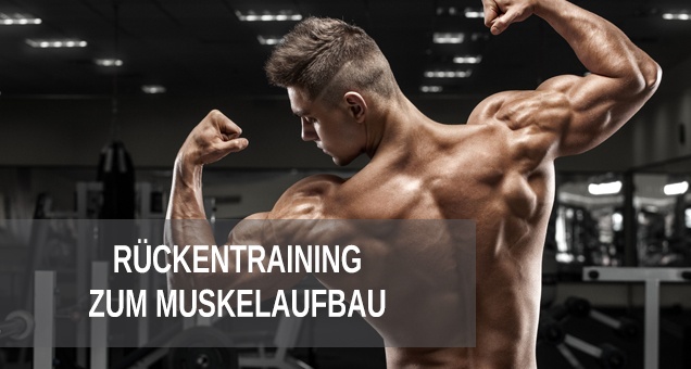 R&uuml;ckentraining zum Muskelaufbau, Trainingsplan R&uuml;cken