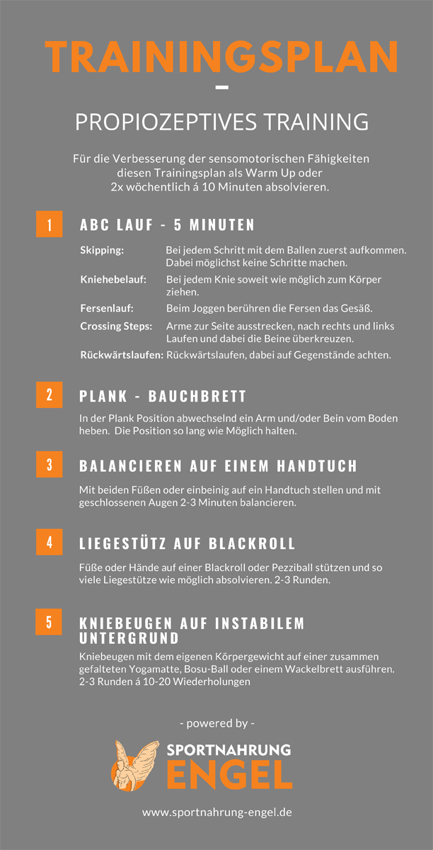 Trainingsplan probriozeptives Training Trainingsplan probriozeptives Training
