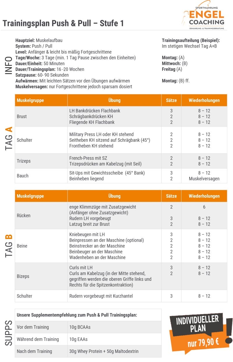 Push Pull Trainingsplan zum Muskelaufbau f&uuml;r Beginner