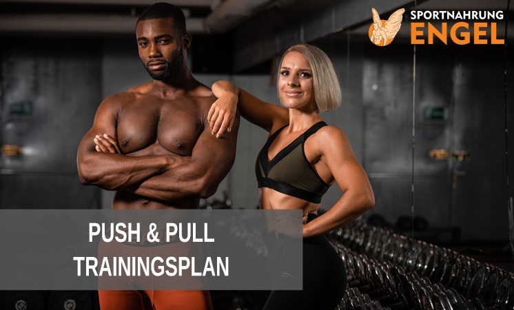Das effektivste Push Pull Training im 2er-Split f&uuml;r Einsteiger & Fortgeschrittene