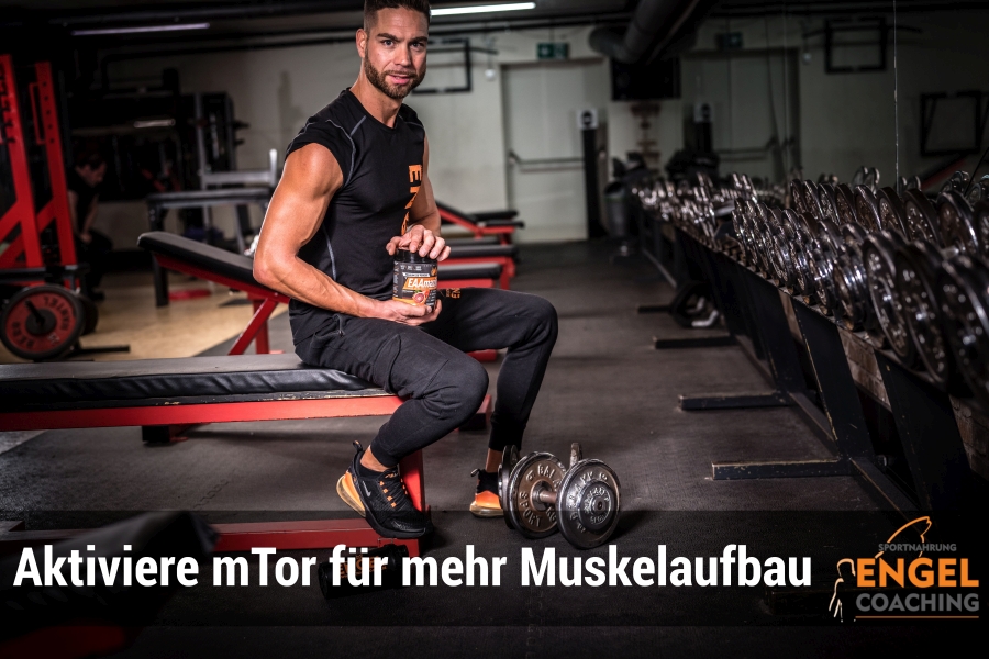 mTor und Muskelaufbau mTor und Muskelaufbau: Wie wichtig ist das Enzym? class=